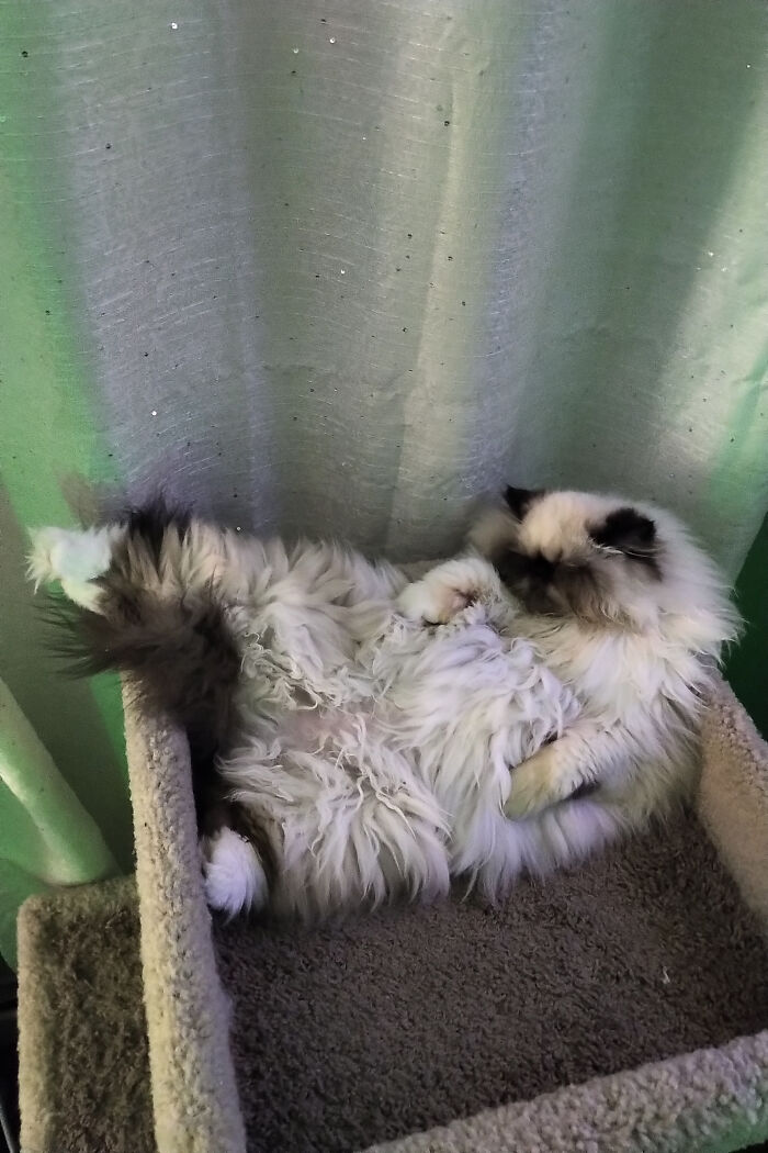 He Sleeps Like A Drunk Old Man!