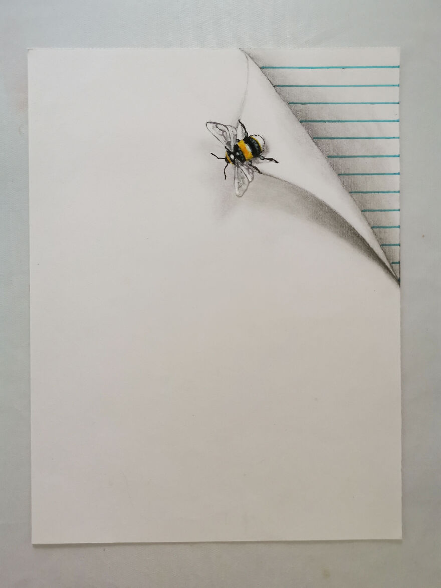 A Drawing Insects That Hold The Page