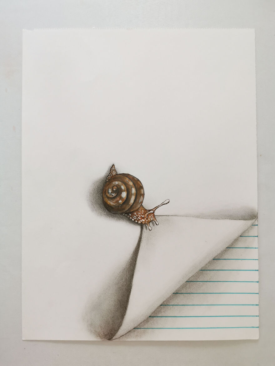 A Drawing Insects That Hold The Page