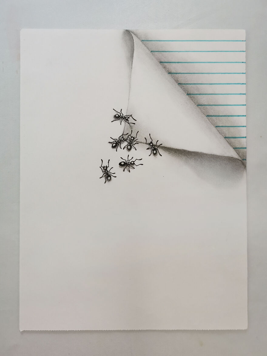 A Drawing Insects That Hold The Page