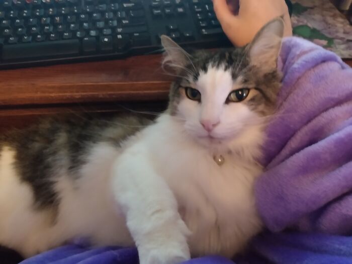 I'm Trying To Work. Stormy Disagrees.