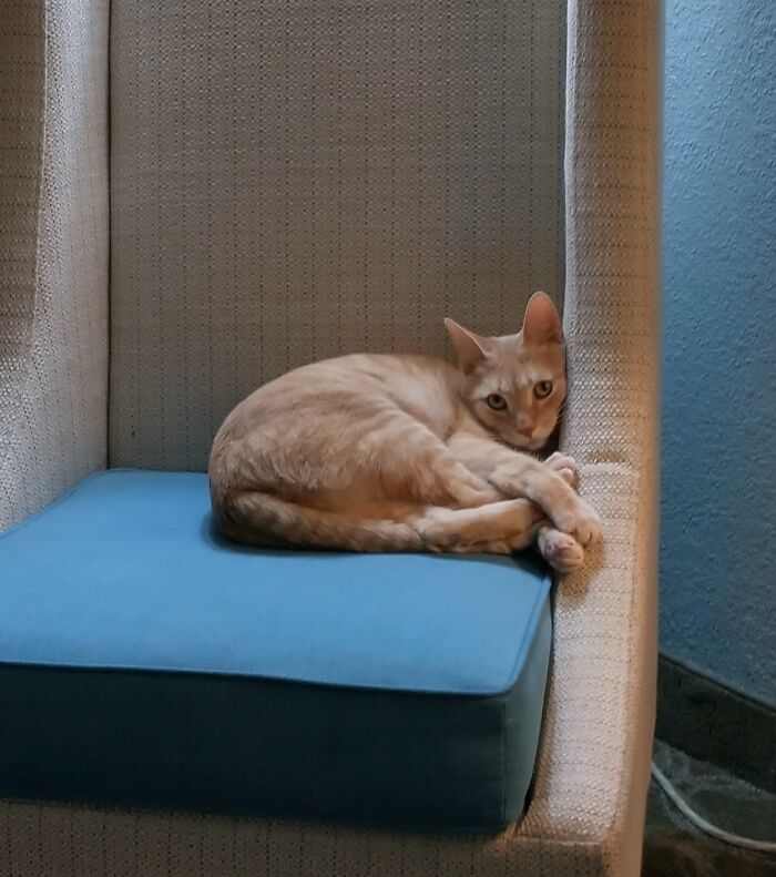 Don't Ever French Braid Me Again, Mom!