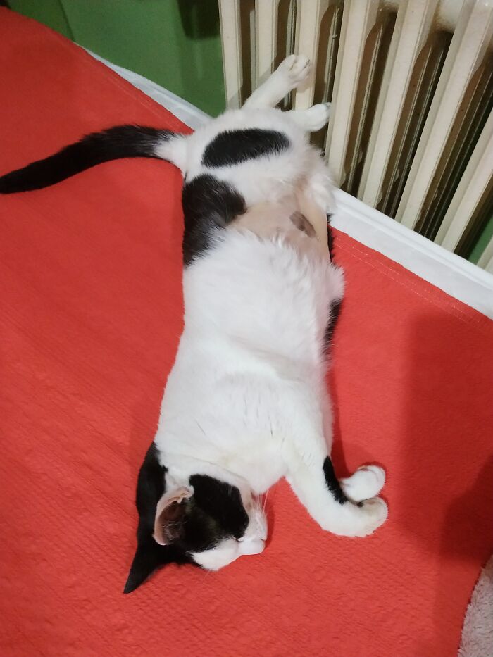 Miro I Lost Him Yesterday Because Of Fi̇p