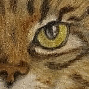 maddie-star-2 avatar