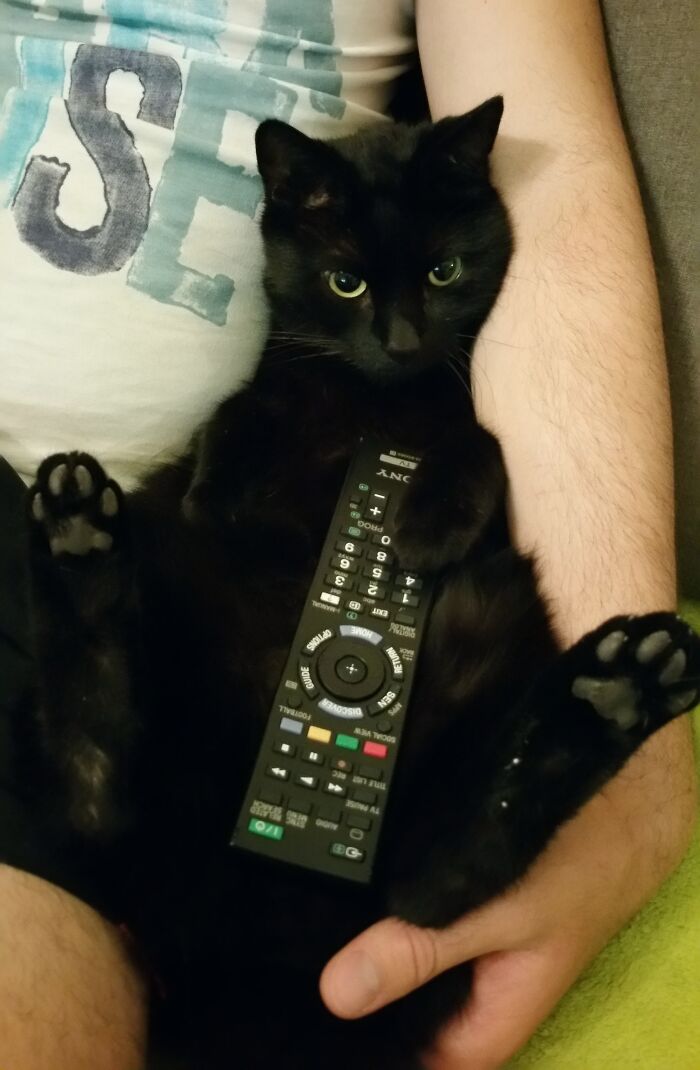 Netflix And Chill