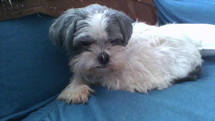 Couldn't Get Him Sleeping... He Was Mad At Me To Lol