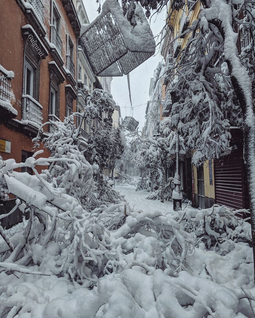Many Trees And Christmas Decorations Have Been Destroyed