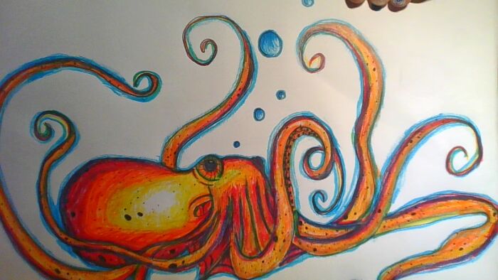 Octopus Drawing!