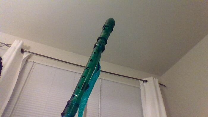 My Trusty Dusty Rusty Crusty Musty Ol' Recorder