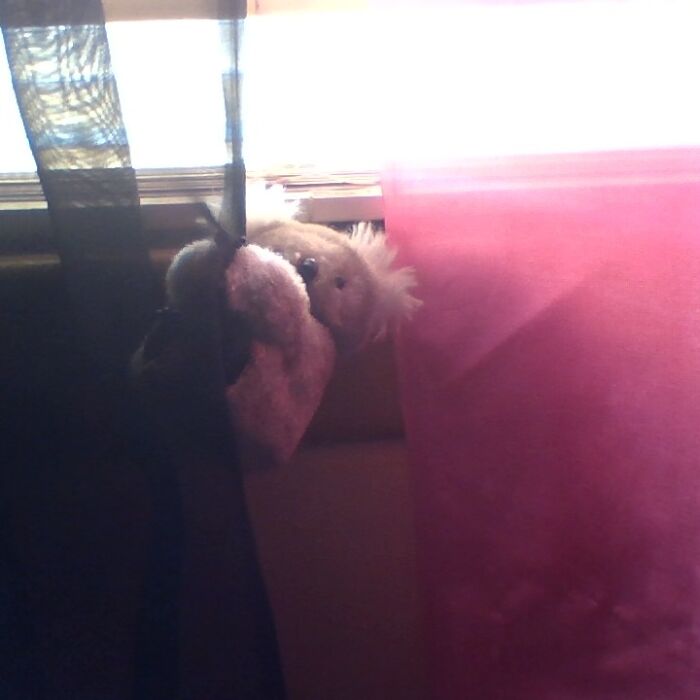 Found This In My Room. Don't Know Where It Came From But It's Been Here Since I First Moved Here