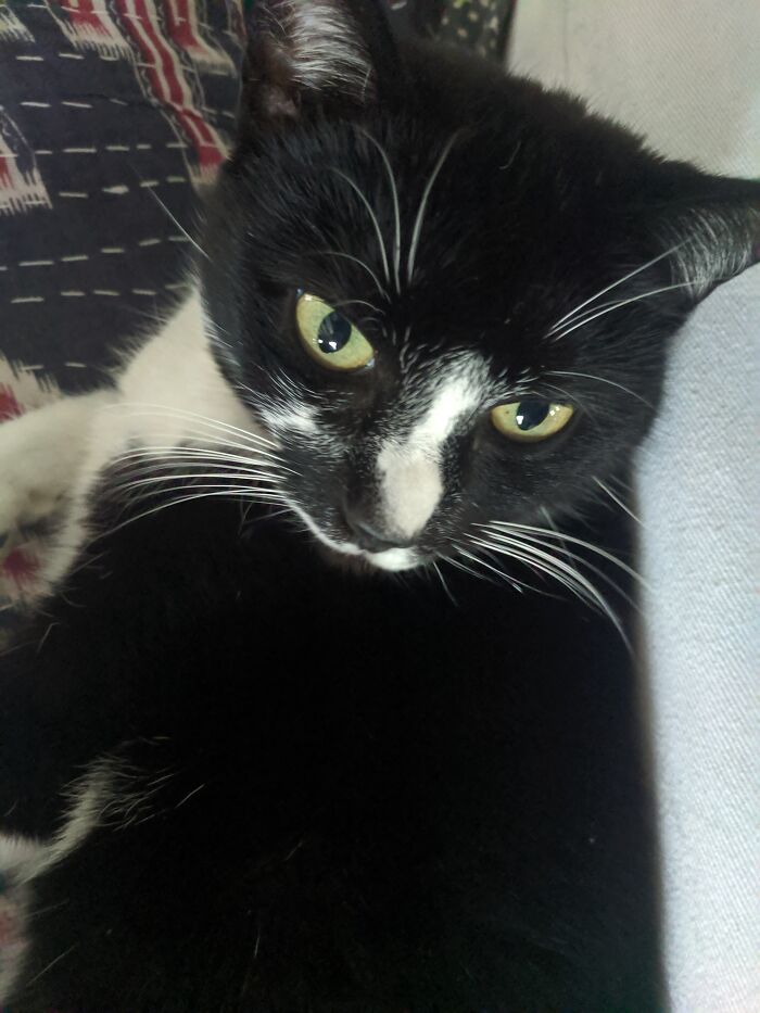 She's Just Sitting In Her Spot And Being Super Cute ❤️