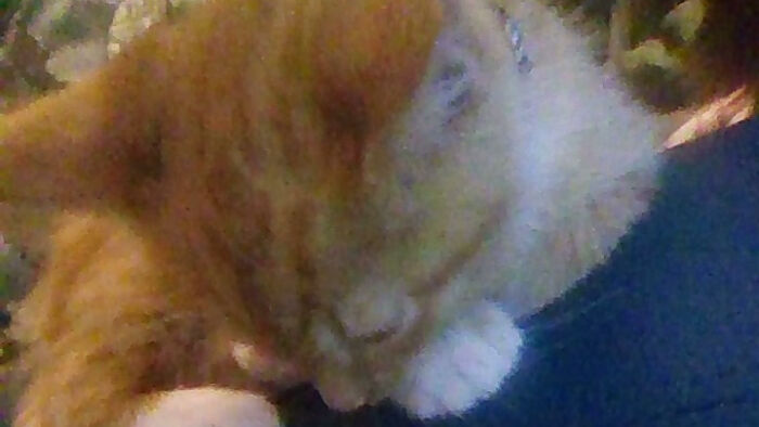 This Is The Best Picture I Could Get Of Him