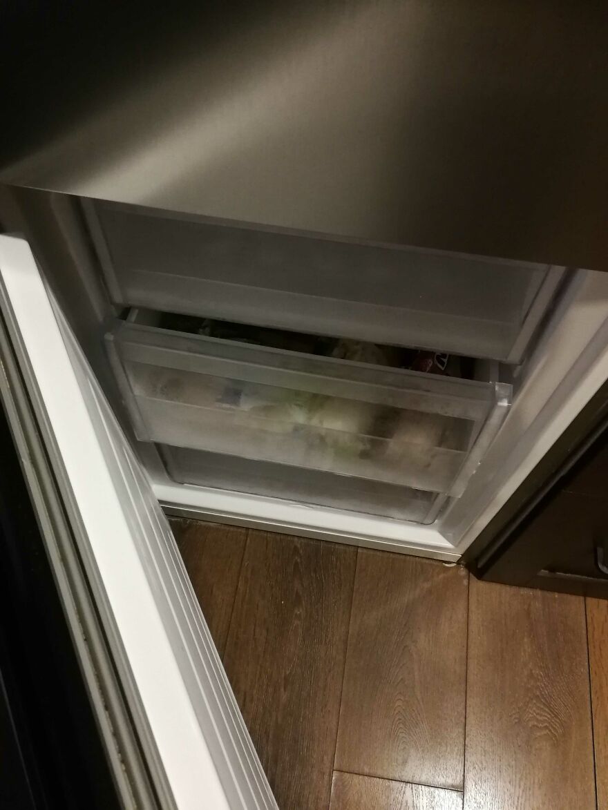 This Freezer Compartment That Wouldn't Close. I Need To Defrost It, But It's Still Very Annoying