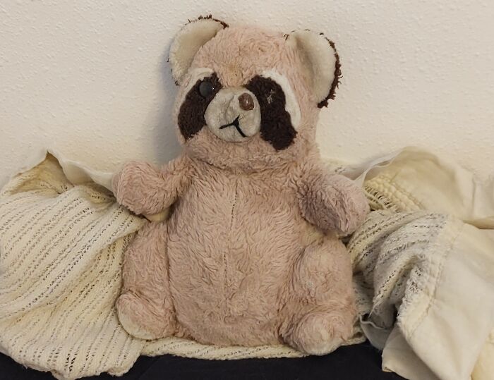 Rocky Raccoon. Pretty Sure He Was Named For The Bullwinkle Show, But I Learned To Like The Song As Well When I Got Older.