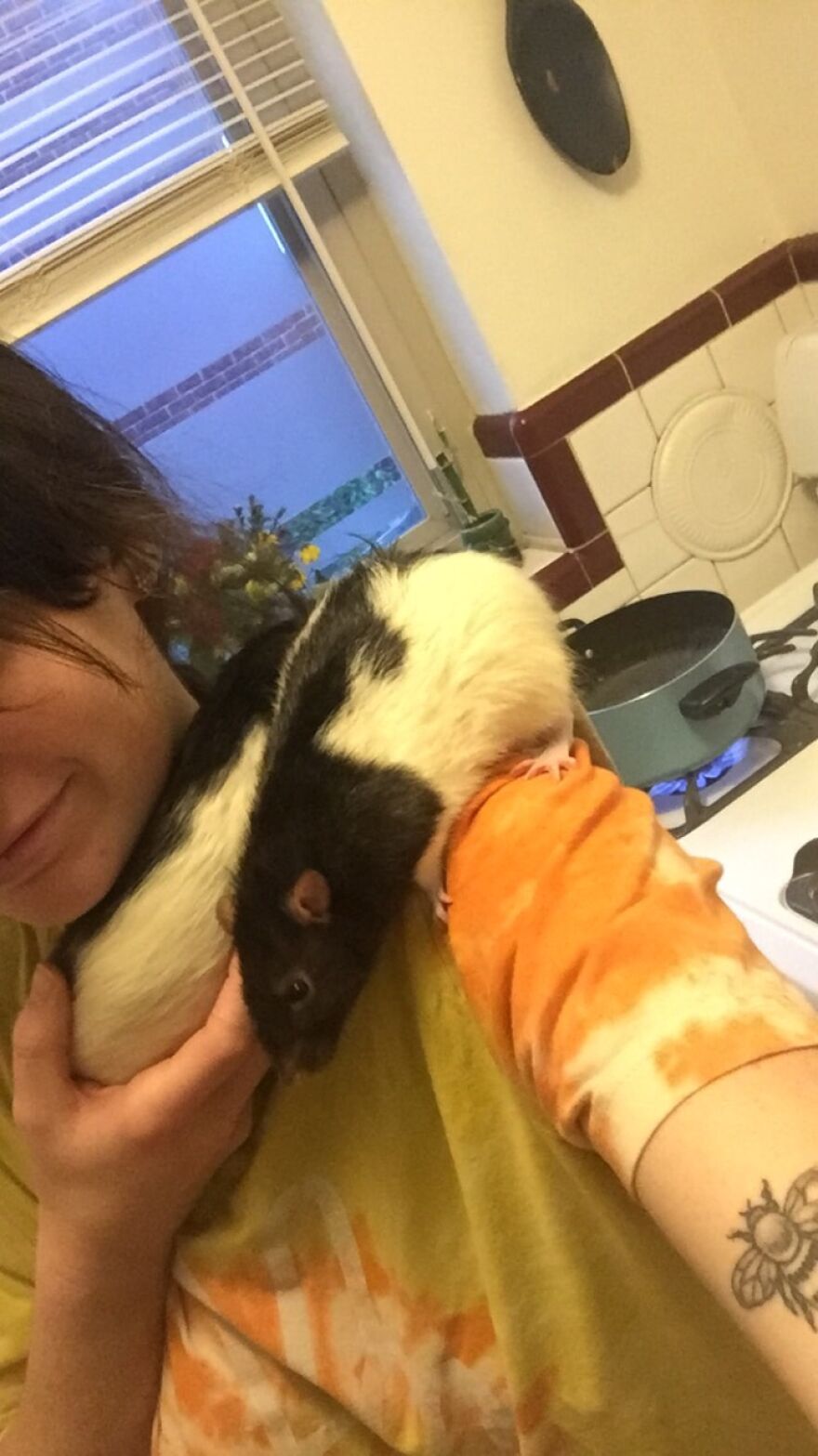 Her Are Felix And Rufus And My Two Little Angels, They Are Brothers, And I Got Them When I Was In The Vet Tech Program.