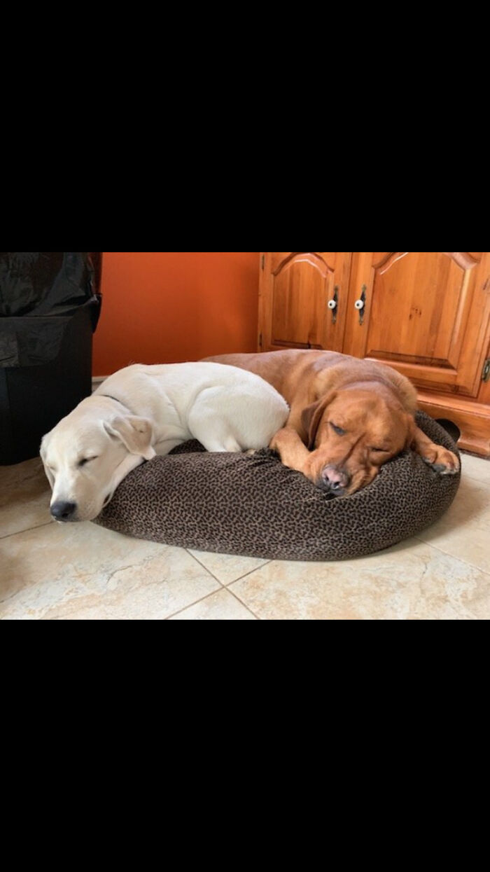 I Couldn't Find A Pic All Of Of Them Together