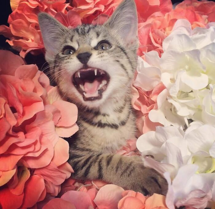 Oxford's School Picture Went Horribly Wrong...