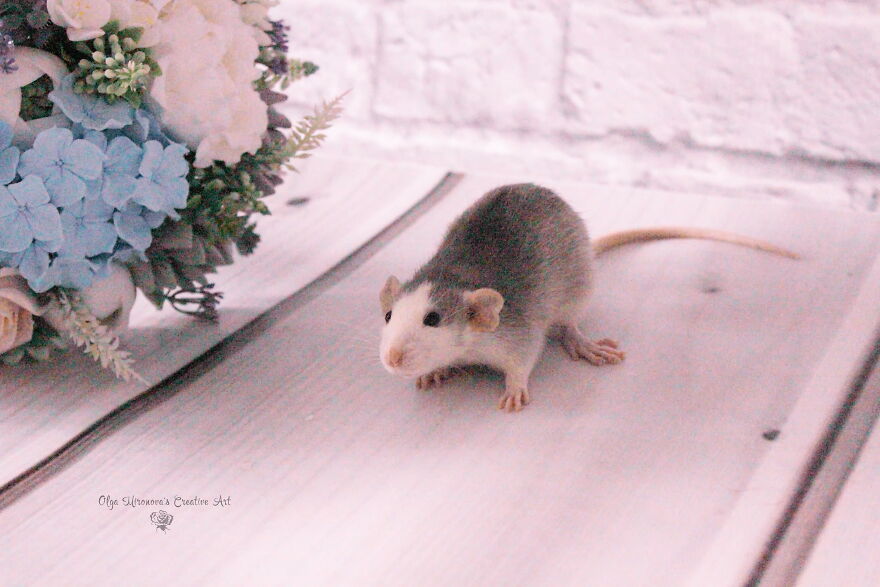 She S My Love Forever. Rip