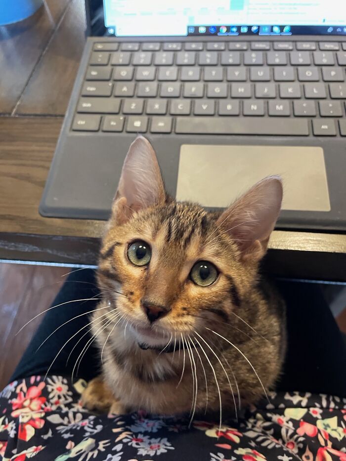 Mom!? Is It Play Time Yet??