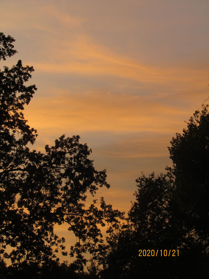 Those Basic Silhouettes