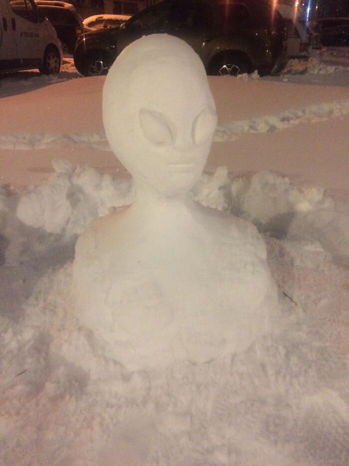 I'm Not Saying It's An Alien, But...