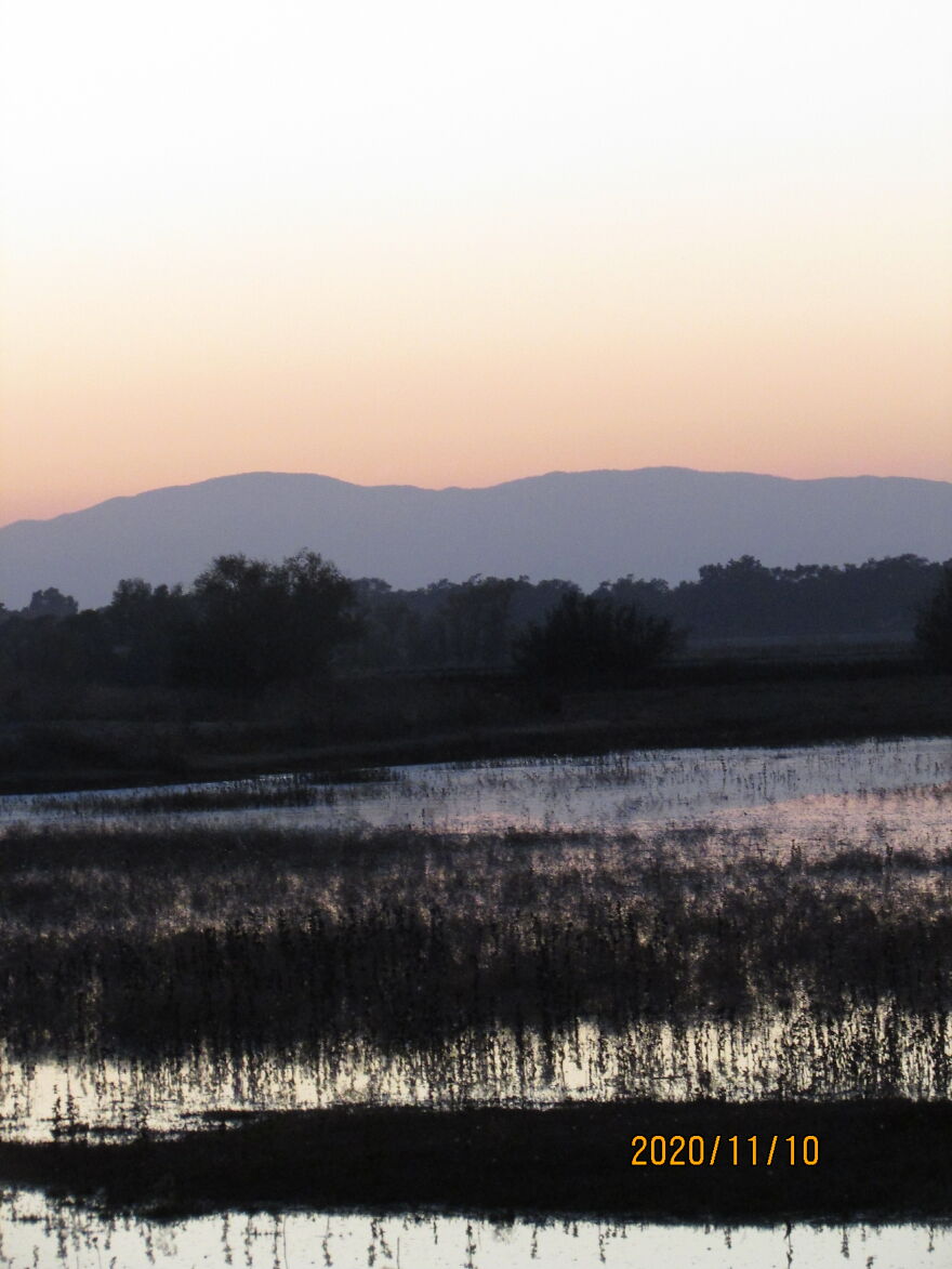 Why Is The Camera Tilted?