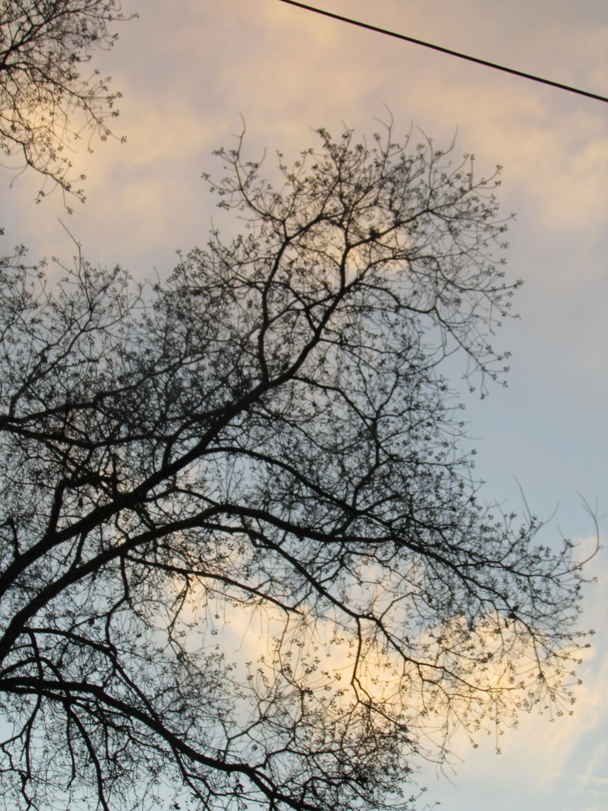 Blurry Silhouette With A Power Cored In The Way