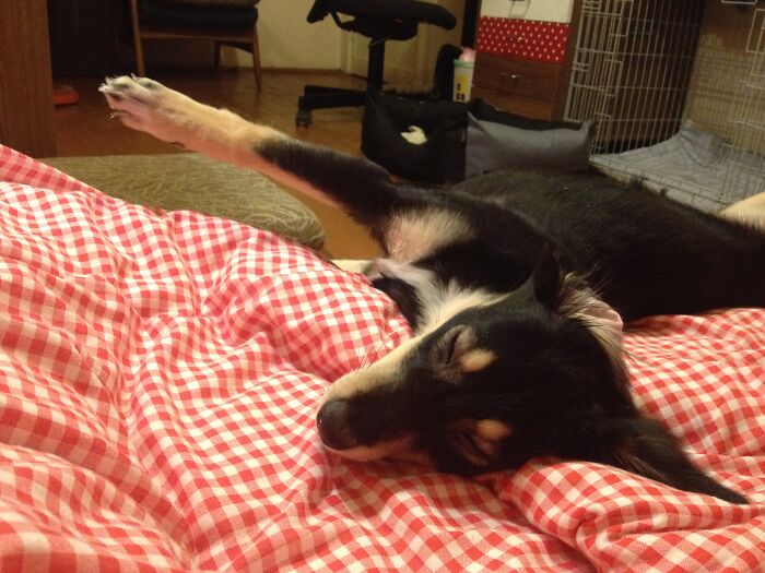 When She Was A Baby, She Used To Enjoy Sleeping Like That