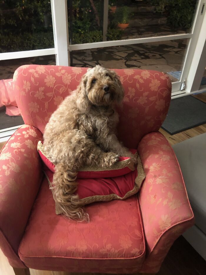 She Woke Up When I Walked Away To Get My Phone