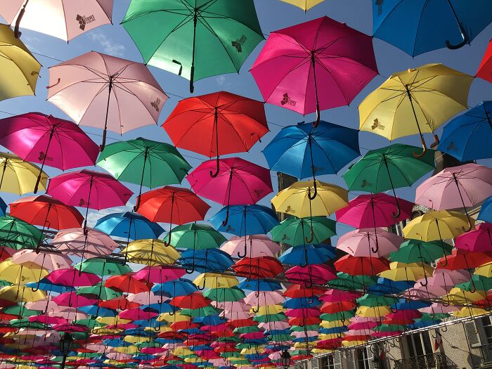 Open Air Market In France