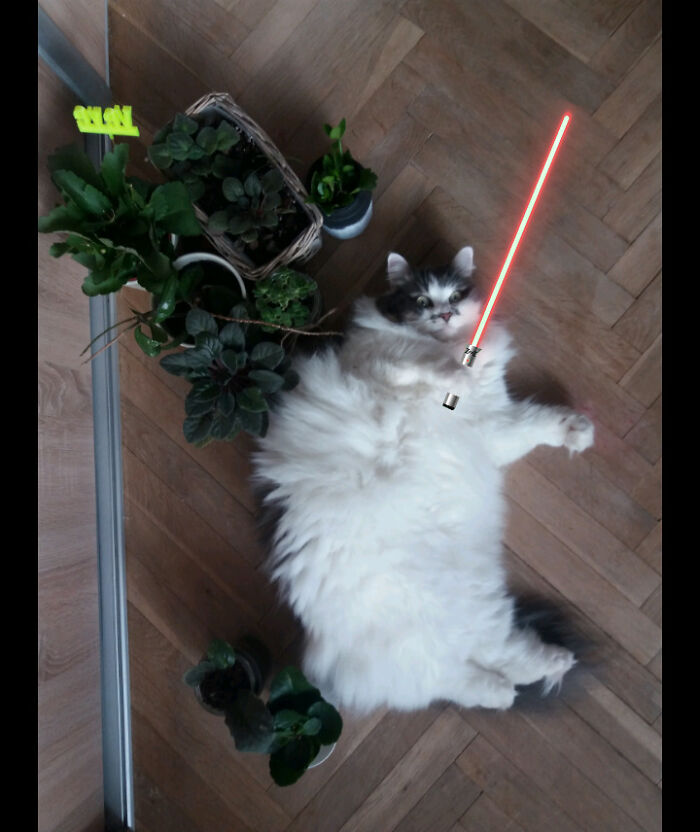 My Ninja Fluffy Girl 😂