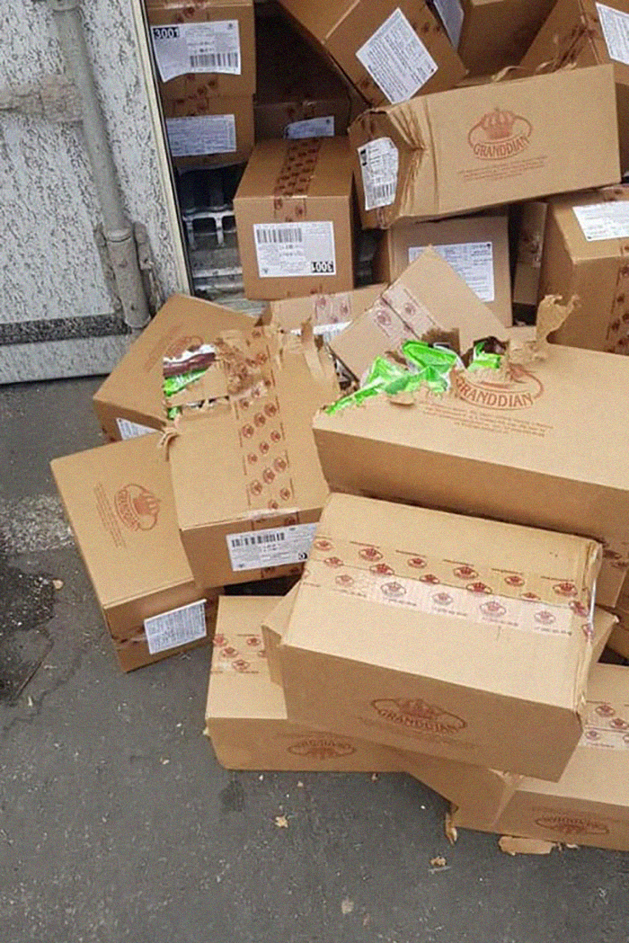 Trapped Inside A Shipping Container For 3 Weeks, Cat Survives By Eating Candy Trapped Inside A Shipping Container For 3 Weeks, Cat Survives By Eating Candy