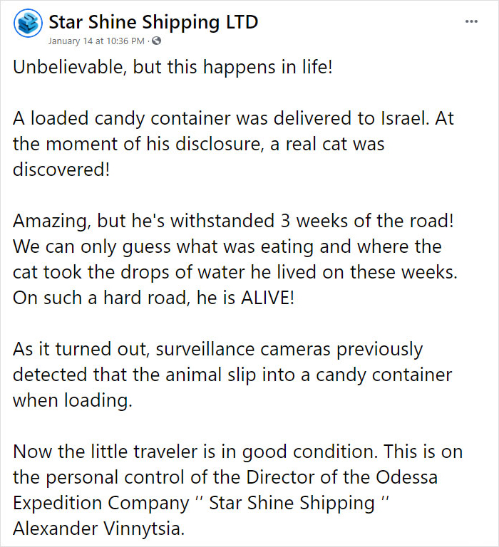 Trapped Inside A Shipping Container For 3 Weeks, Cat Survives By Eating Candy Trapped Inside A Shipping Container For 3 Weeks, Cat Survives By Eating Candy