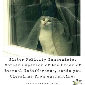 rachelmycroft avatar