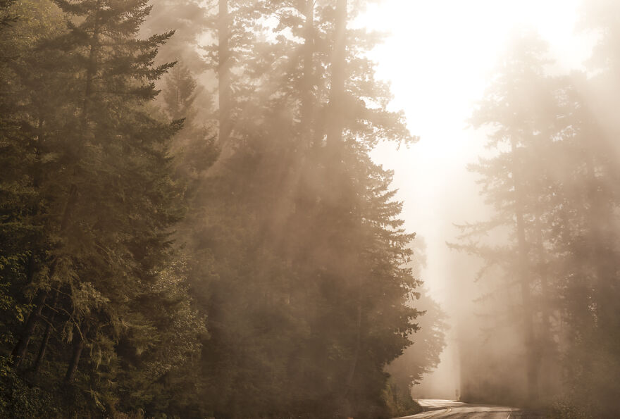 My Photos That Will Get Lost In Nature (5 Pics)