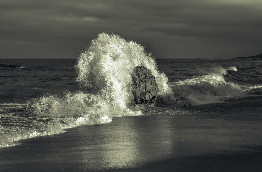 My Photos That Will Get Lost In Nature (5 Pics)