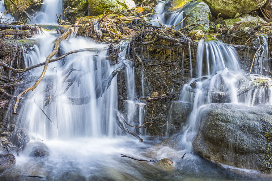 My Photos That Will Get Lost In Nature (5 Pics)