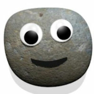 jinxthepetrock avatar