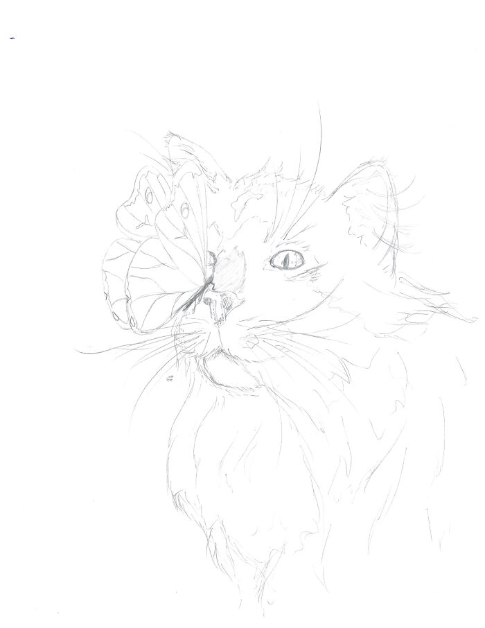 Kitty & Butterfly