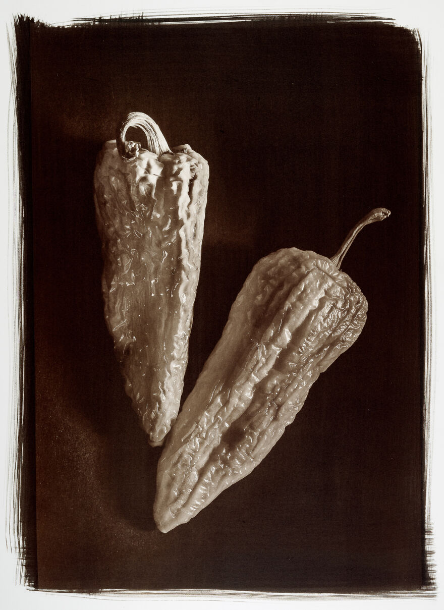 I Photographed The Molded, Rotten, And Dried Food Stocked Up In Our Storage Room During The Lockdown I Photographed The Molded, Rotten, And Dried Food Stocked Up In Our Storage Room During The Lockdown