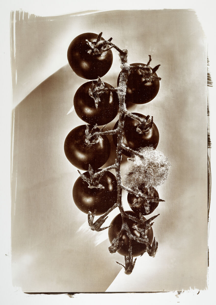 I Photographed The Molded, Rotten, And Dried Food Stocked Up In Our Storage Room During The Lockdown I Photographed The Molded, Rotten, And Dried Food Stocked Up In Our Storage Room During The Lockdown
