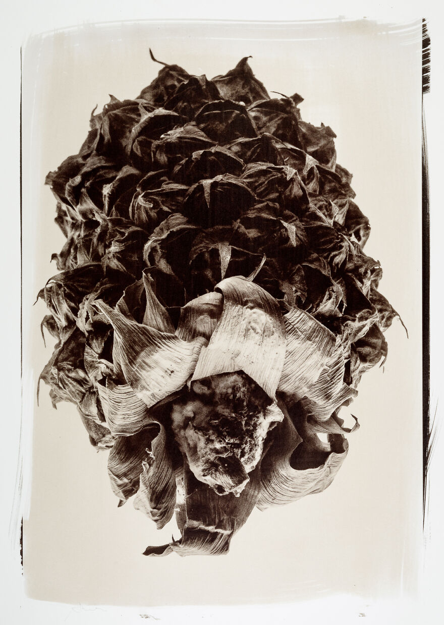 I Photographed The Molded, Rotten, And Dried Food Stocked Up In Our Storage Room During The Lockdown I Photographed The Molded, Rotten, And Dried Food Stocked Up In Our Storage Room During The Lockdown