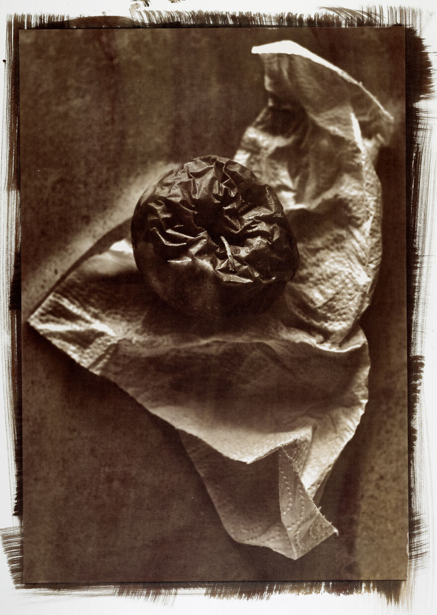 I Photographed The Molded, Rotten, And Dried Food Stocked Up In Our Storage Room During The Lockdown I Photographed The Molded, Rotten, And Dried Food Stocked Up In Our Storage Room During The Lockdown