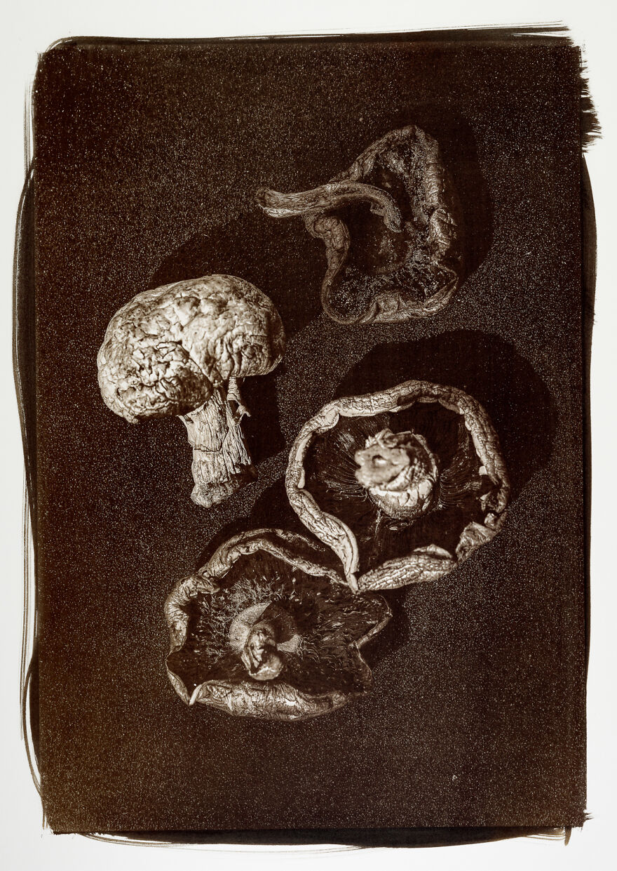 I Photographed The Molded, Rotten, And Dried Food Stocked Up In Our Storage Room During The Lockdown