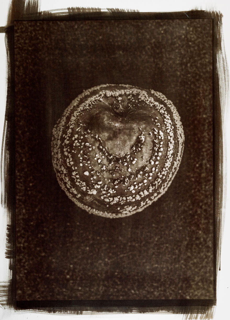 I Photographed The Molded, Rotten, And Dried Food Stocked Up In Our Storage Room During The Lockdown