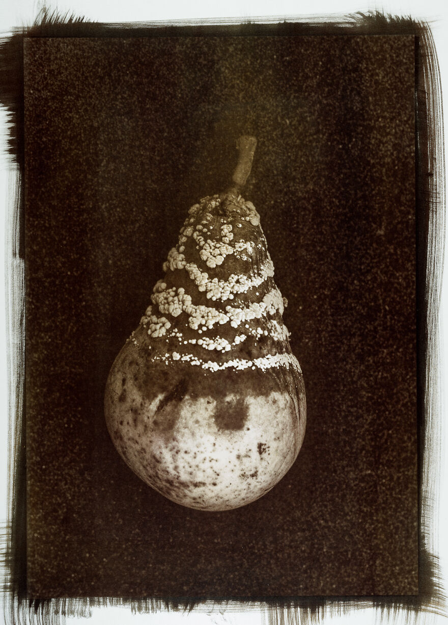 I Photographed The Molded, Rotten, And Dried Food Stocked Up In Our Storage Room During The Lockdown I Photographed The Molded, Rotten, And Dried Food Stocked Up In Our Storage Room During The Lockdown