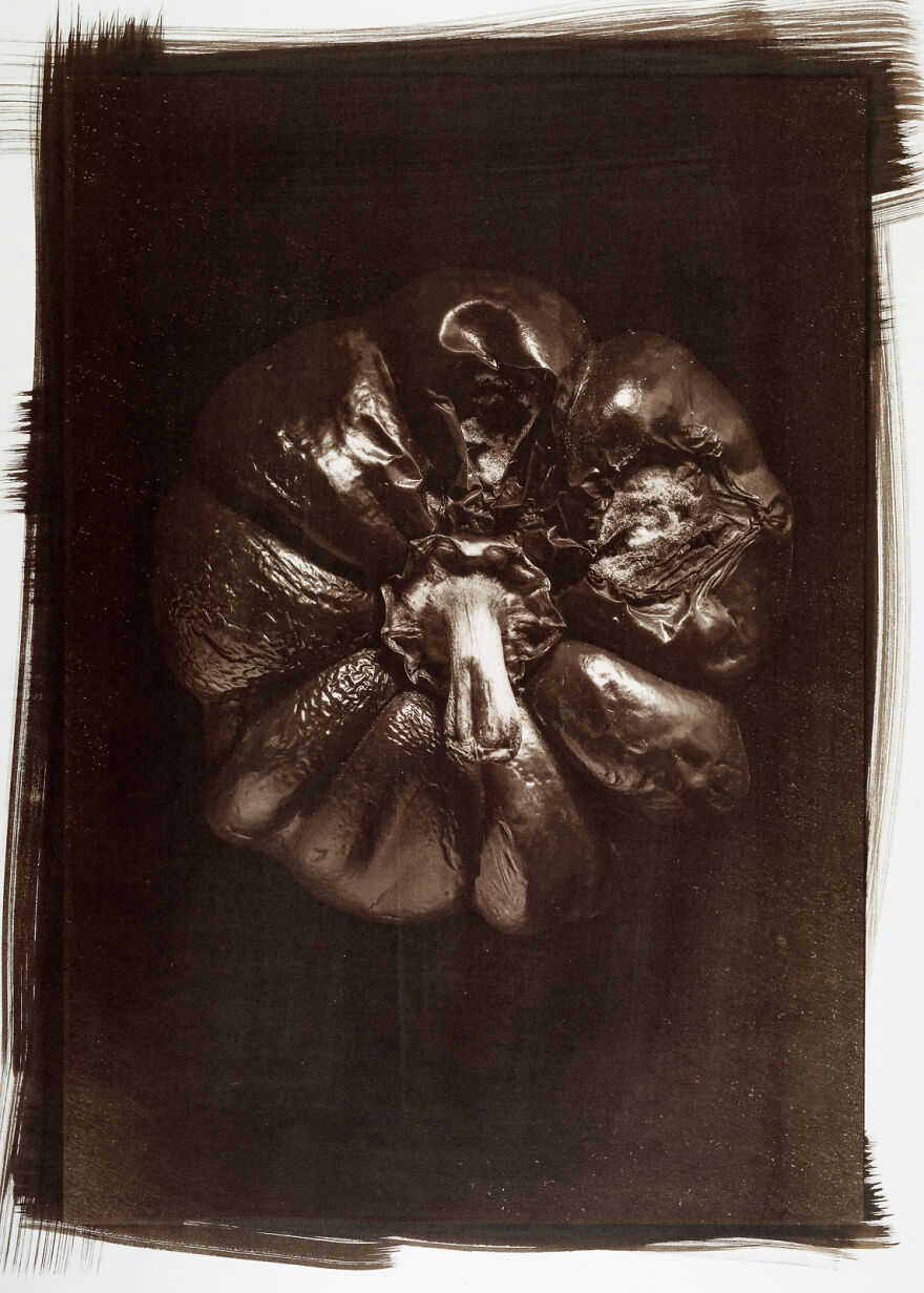 I Photographed The Molded, Rotten, And Dried Food Stocked Up In Our Storage Room During The Lockdown