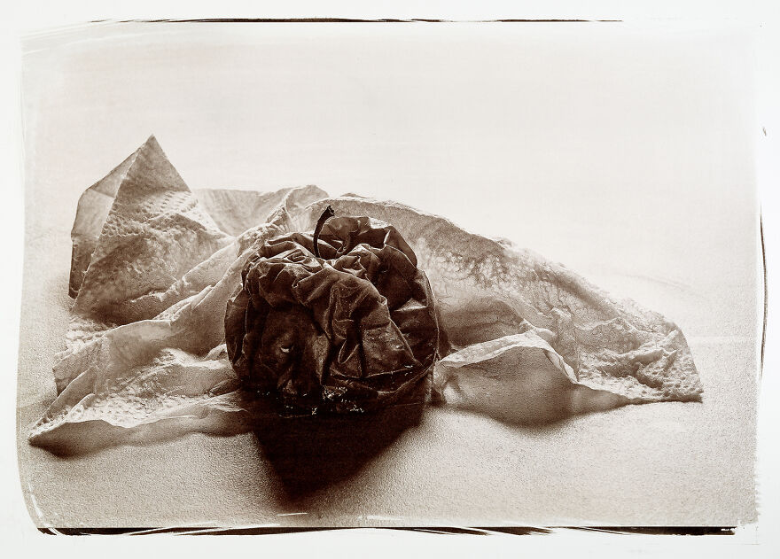 I Photographed The Molded, Rotten, And Dried Food Stocked Up In Our Storage Room During The Lockdown I Photographed The Molded, Rotten, And Dried Food Stocked Up In Our Storage Room During The Lockdown