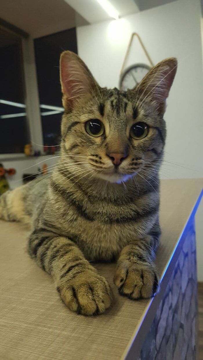 Do You Have A Moment To Talk About Beer Caps?