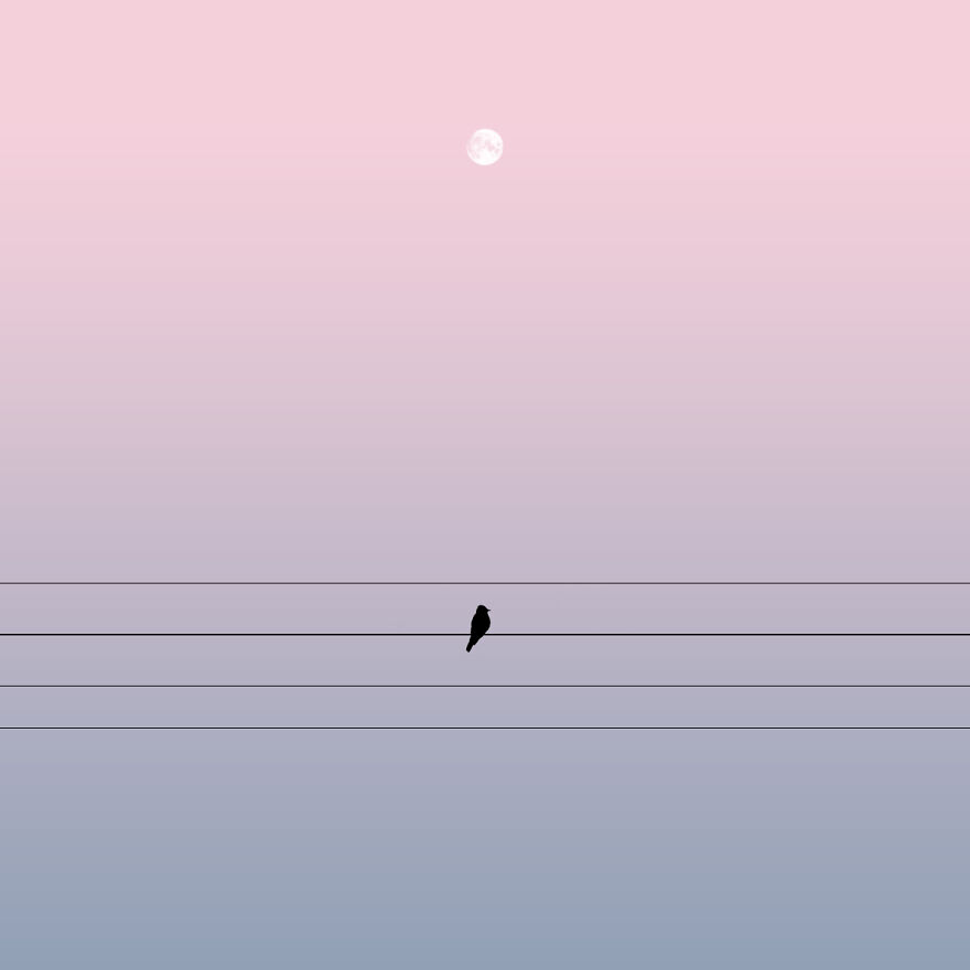 Lone Bird
